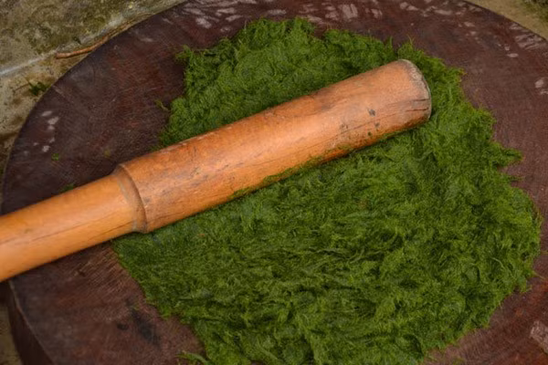 Loại rêu này bám trên các tảng đá dưới lòng suối, phát triển mạnh vào thời điểm nước trong, sạch, đặc biệt sau mùa mưa. Với nhiều người miền xuôi, rêu có thể bị xem là thứ bỏ đi, nhưng với người bản địa, đây lại là “rau sạch tự nhiên” hiếm có. Ảnh dulichtamnhinviet