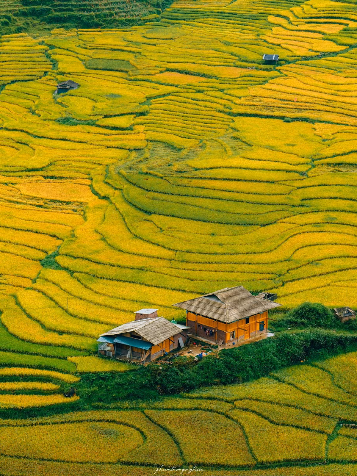 Từ Sa Pa, du khách có thể chọn đi Y Tý theo hai hướng. Tuy nhiên, tuyến đường nối trực tiếp từ Sa Pa thường khó đi, mất hơn 4 giờ di chuyển bằng xe máy. Ảnh Pham Trong Nghia
