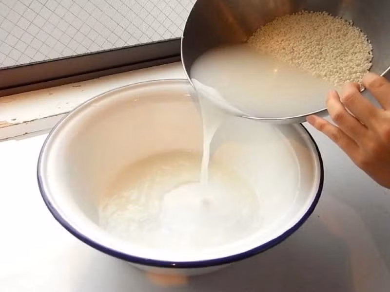 Một trong những cách đơn giản nhất là gội đầu bằng nước gạo lên men. Người dùng có thể ngâm nửa cốc gạo trong 1 cốc nước khoảng 30 phút, sau đó để lên men trong 24 giờ. Ảnh minh họa