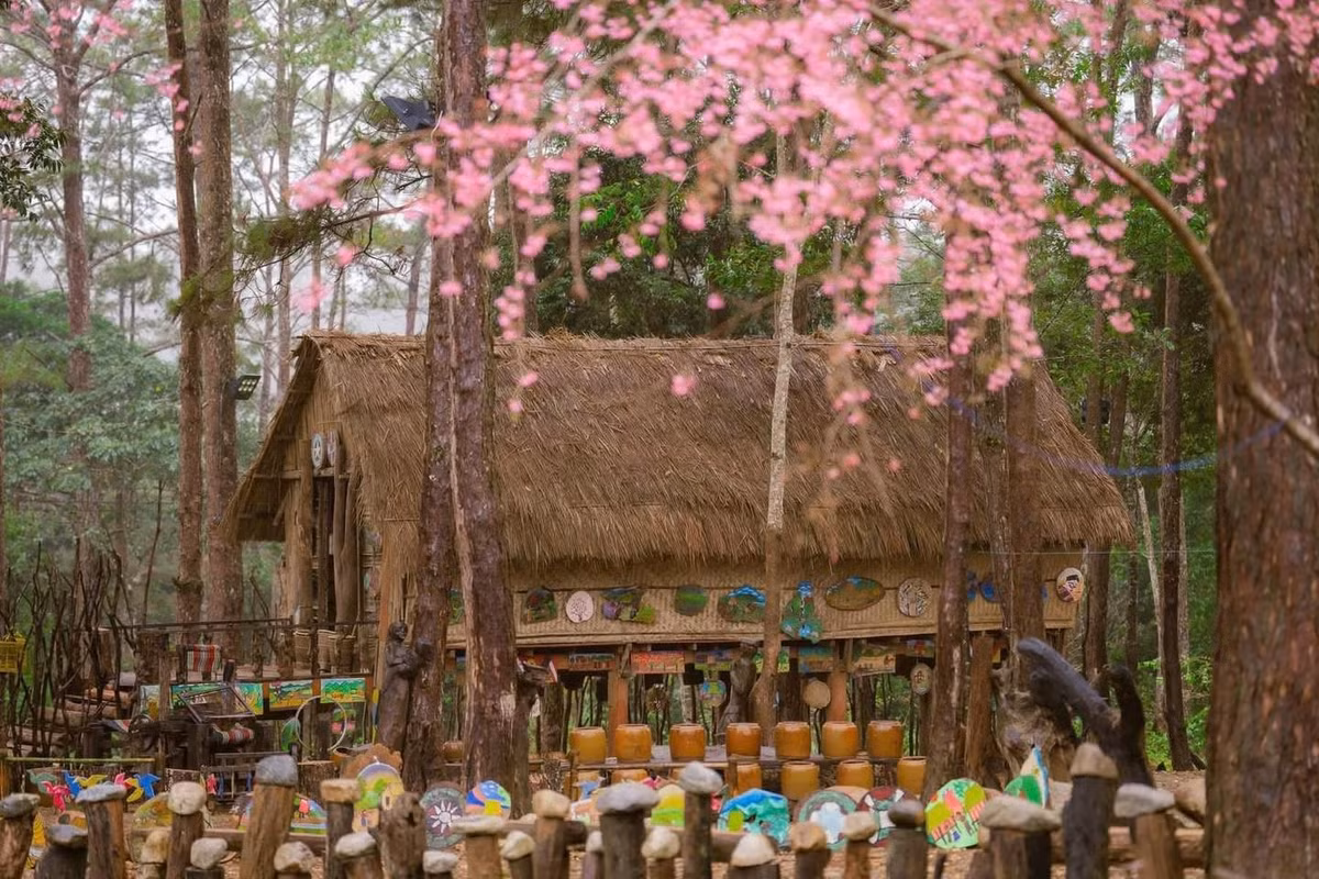Đặc biệt, lễ hội đường phố xuân tổ chức vào mùng 3 Tết trở thành điểm nhấn với các màn diễu hành, biểu diễn nghệ thuật truyền thống, tái hiện nét đẹp văn hóa Tây Nguyên. Âm vang cồng chiêng ngân lên giữa núi rừng đại ngàn khiến không khí đầu xuân thêm thiêng liêng và ấn tượng. Ảnh Du lịch Măng Đen