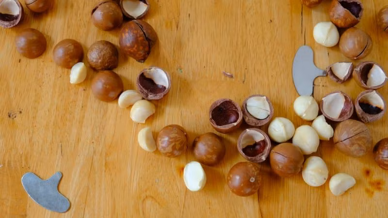 Nhờ thành phần dinh dưỡng phong phú, mắc ca được cho là có thể hỗ trợ sức khỏe tim mạch, cải thiện hệ tiêu hóa và cung cấp năng lượng cho cơ thể. Ảnh BHX