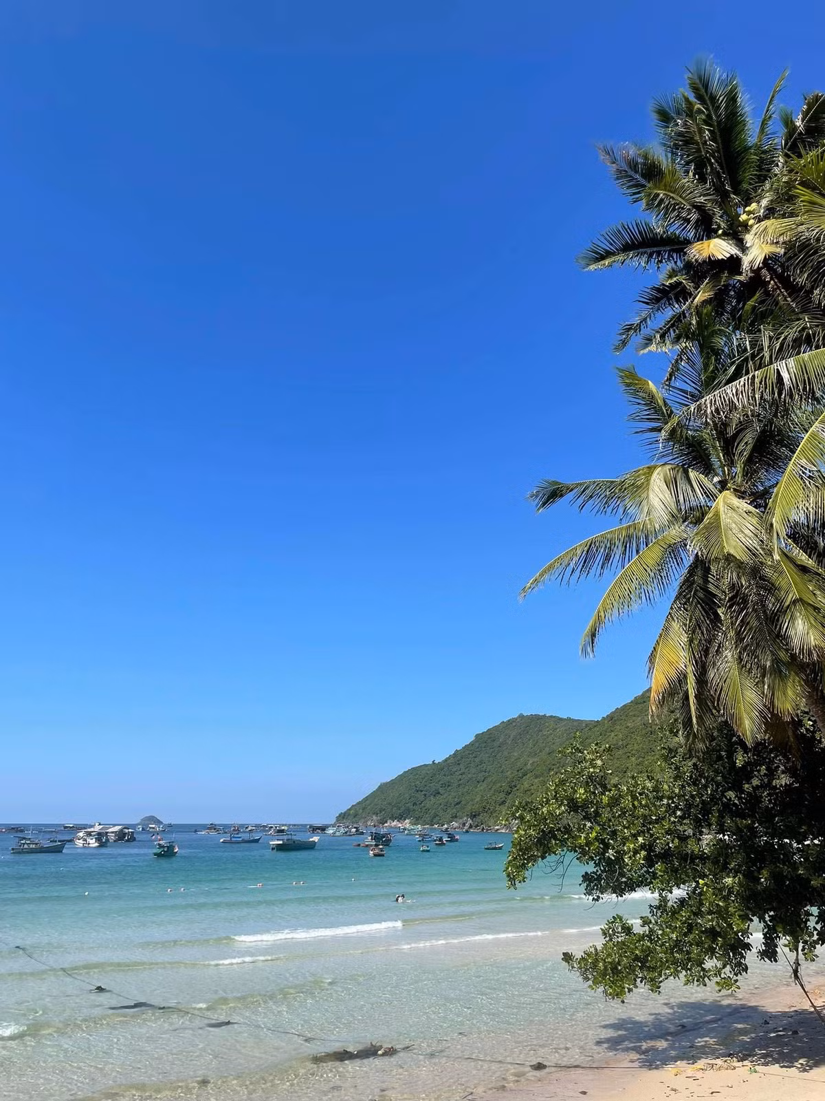 Để đến Nam Du, du khách có thể lựa chọn tàu cao tốc từ Rạch Giá, Hà Tiên hoặc Phú Quốc, trong đó tuyến Rạch Giá – Nam Du được sử dụng phổ biến nhất nhờ thuận tiện và thời gian di chuyển hợp lý. Hòn Lớn, còn gọi là Hòn Củ Tron, là đảo lớn nhất và trung tâm hành chính của quần đảo, nơi tập trung nhiều dịch vụ lưu trú và ẩm thực. Ảnh iVIVU