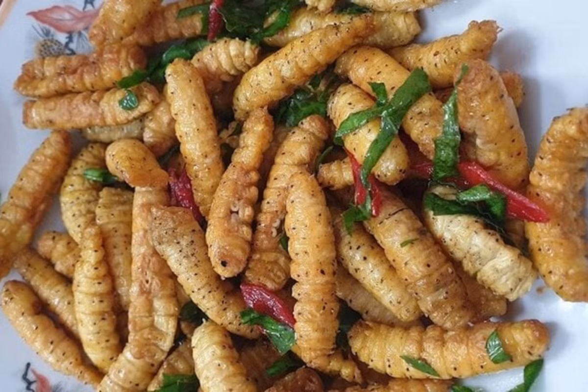 Từ nguyên liệu tưởng chừng “khó ăn” ấy, người dân quê sáng tạo ra đủ món hấp dẫn: tằm sắn rang lá chanh dậy mùi, tằm rang ba chỉ béo ngậy, tằm chiên giòn, tằm xào lá lốt hay đơn giản là luộc chấm mắm tỏi ớt cay nồng. Thậm chí, có gia đình còn giã tằm thành ruốc để ăn cùng cơm trắng. Ảnh sovaba.travel
