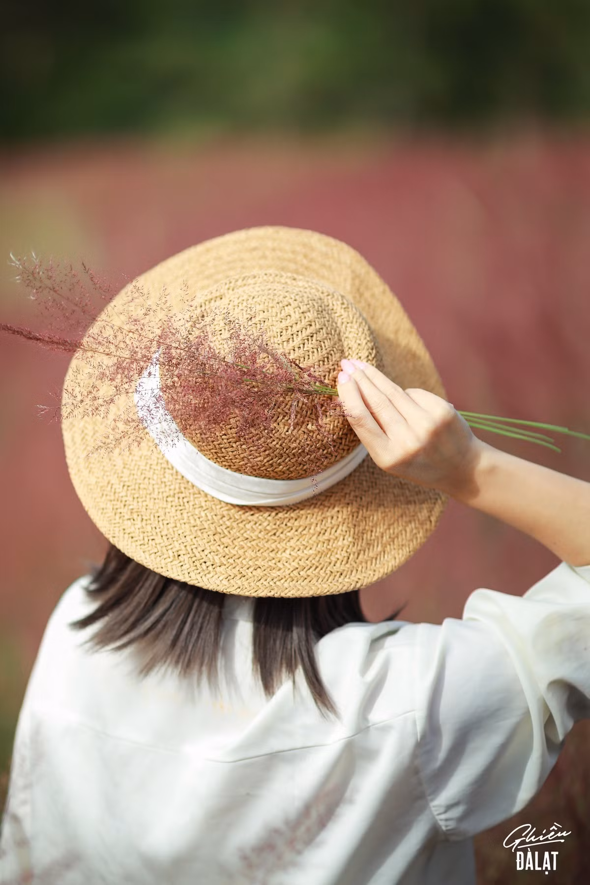 Không gian rộng lớn và màu sắc dịu dàng của cỏ lau hồng còn gợi cảm giác lãng mạn, dễ chịu, là nơi để du khách tạm gác lại nhịp sống hối hả, hòa mình vào thiên nhiên và tìm lại sự cân bằng. Ngoài việc chụp ảnh, nhiều người còn tận hưởng không khí trong lành, đi dạo trên những con đường đất quanh đồi, hoặc ngồi ngắm mây trôi lững lờ, tận hưởng cảm giác thư giãn giữa khung cảnh thơ mộng. Ảnh Ghiền Đà Lạt