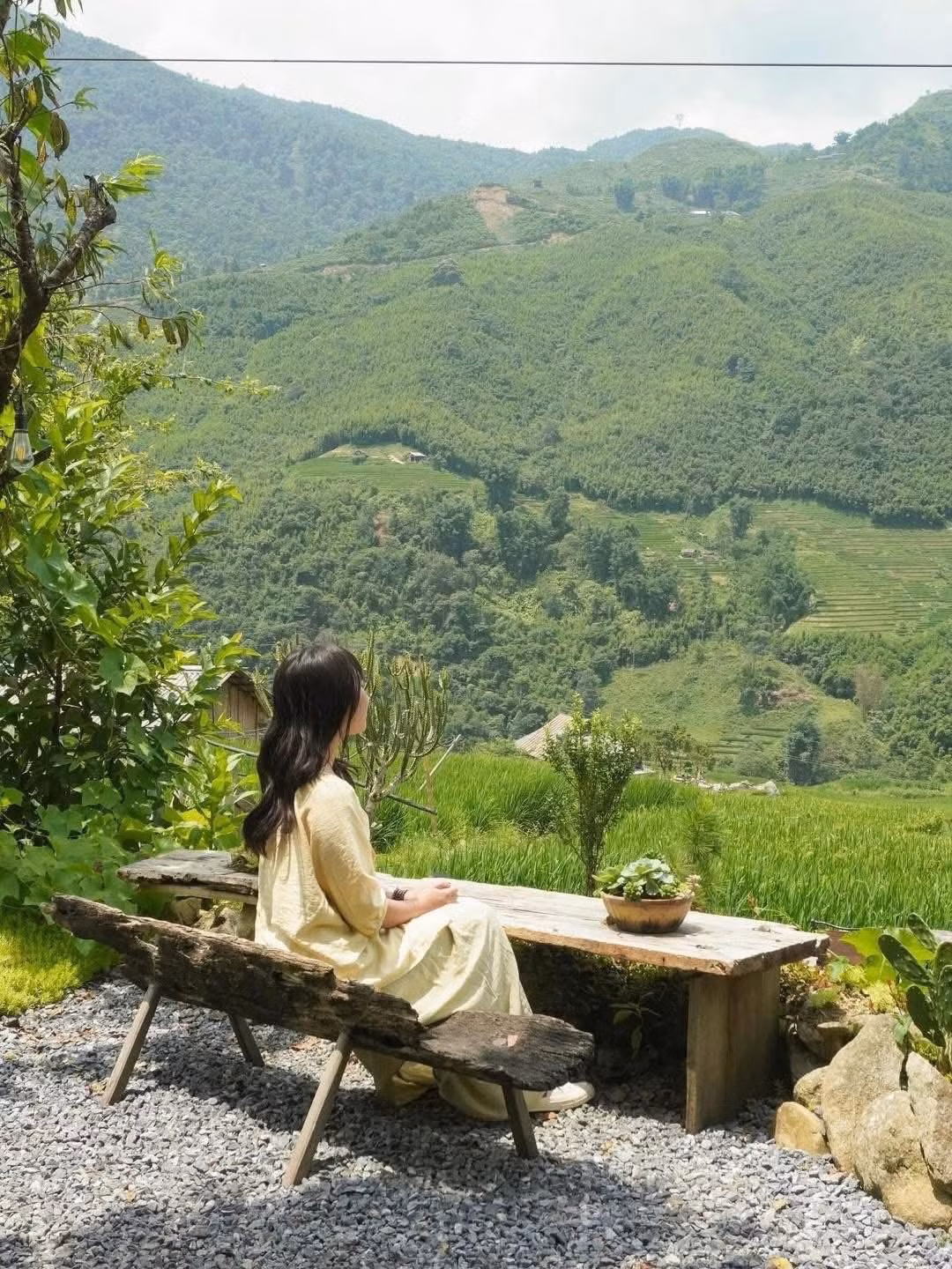 pavi-garden.jpg