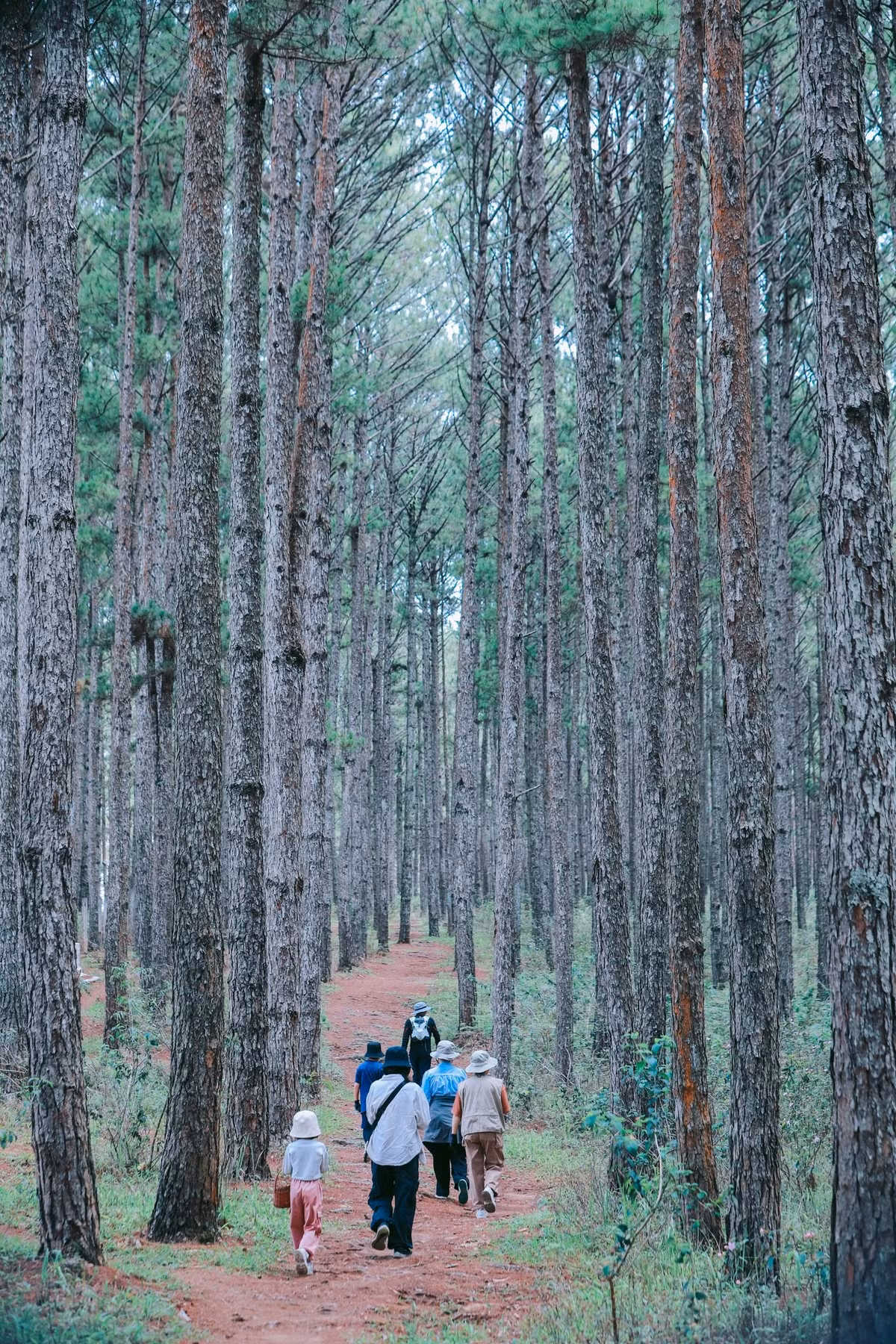 hai-nam8.jpg
