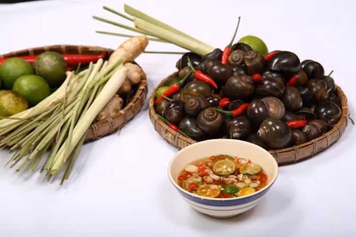 Tuy nhiên, để đảm bảo an toàn, người tiêu dùng cần lưu ý lựa chọn đúng ốc bươu ta, tránh nhầm lẫn với ốc bươu vàng. Ốc cần được ngâm rửa kỹ để loại bỏ bùn đất và các tạp chất, đồng thời phải nấu chín hoàn toàn trước khi ăn. Ảnh minh họa