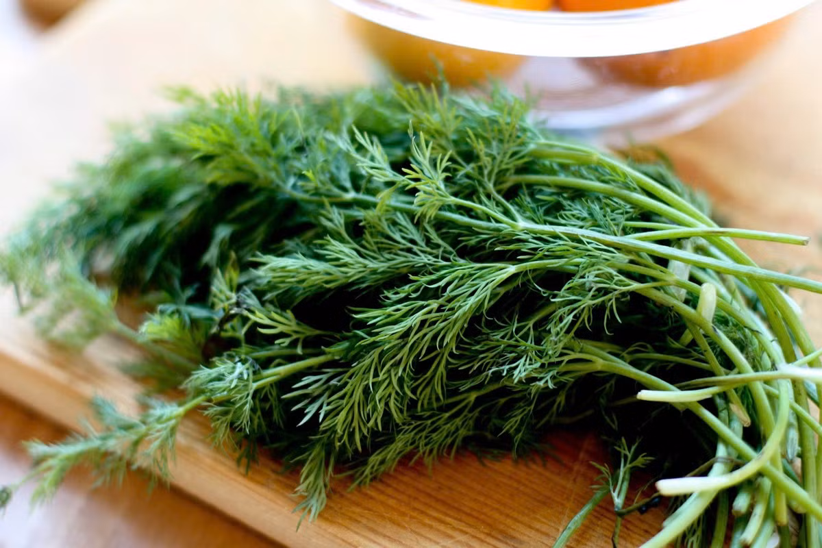 Theo y học cổ truyền, thì là có vị cay, tính ấm, cả lá và hạt đều có thể dùng làm thực phẩm và dược liệu. Loại rau này được ghi nhận có tác dụng hỗ trợ tiêu hóa, giảm đầy hơi, chướng bụng, đau bụng do lạnh, đồng thời giúp kích thích cảm giác thèm ăn. Ảnh minh họa