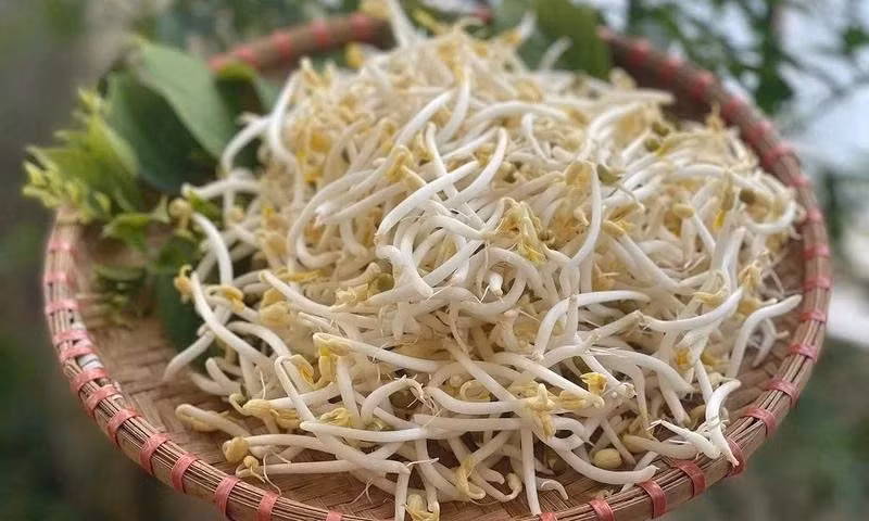 Chỉ vài nghìn đồng một túi, loại rau mầm trắng giòn quen thuộc trong bữa cơm Việt lại chứa nguồn đạm, khoáng và chất chống oxy hóa quý hiếm, có lợi cho cả sức khỏe và sinh lý. Ảnh minh họa