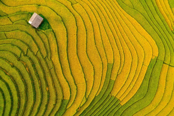 sac-vang-sapa.jpg