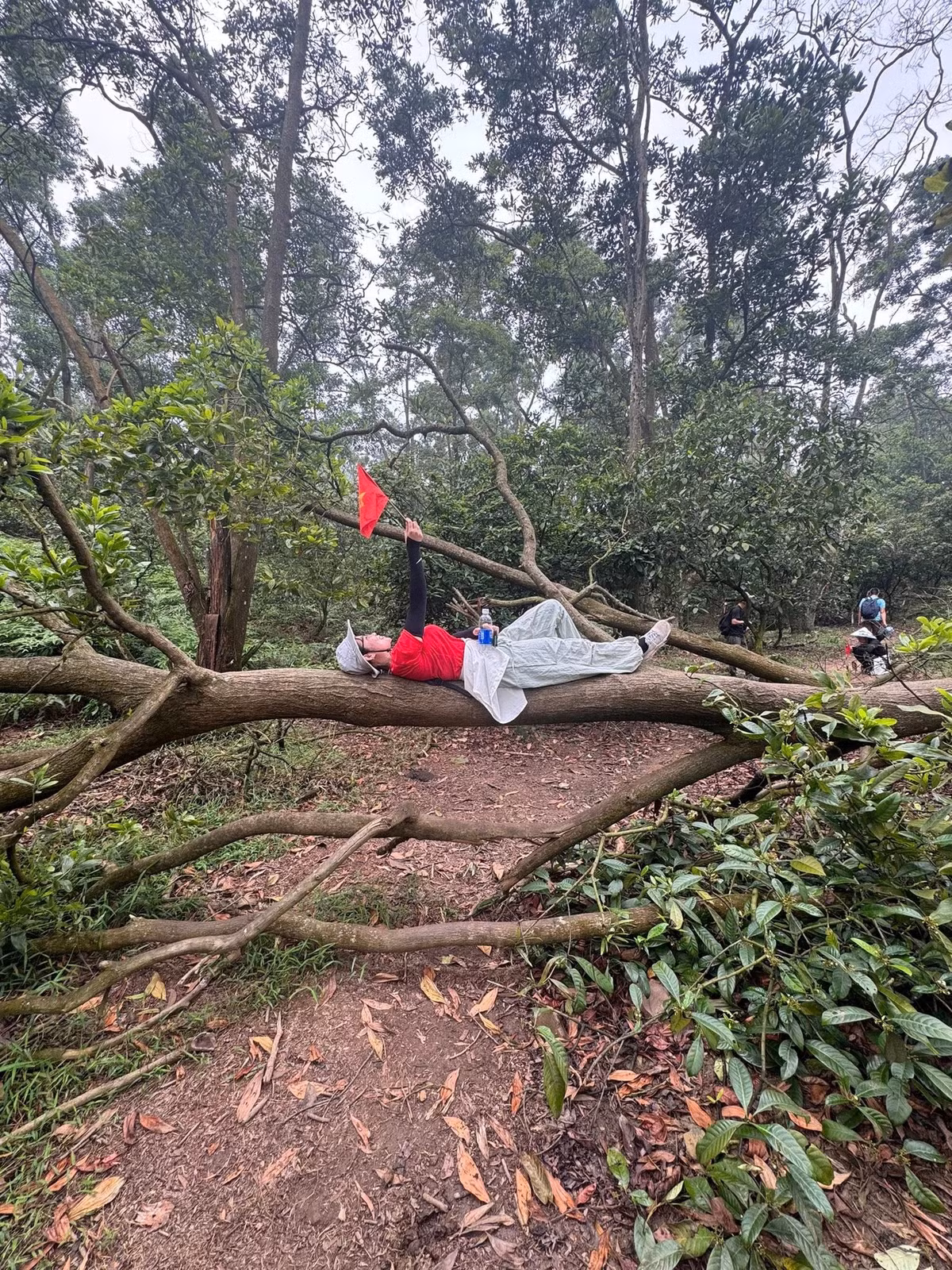Hãy thử một lần rời xa phố xá, xách balo lên và trekking tới “nóc nhà Thủ đô” – để khám phá một Hà Nội khác, xanh hơn, yên bình hơn và đáng nhớ hơn. Ảnh Trần Hằng