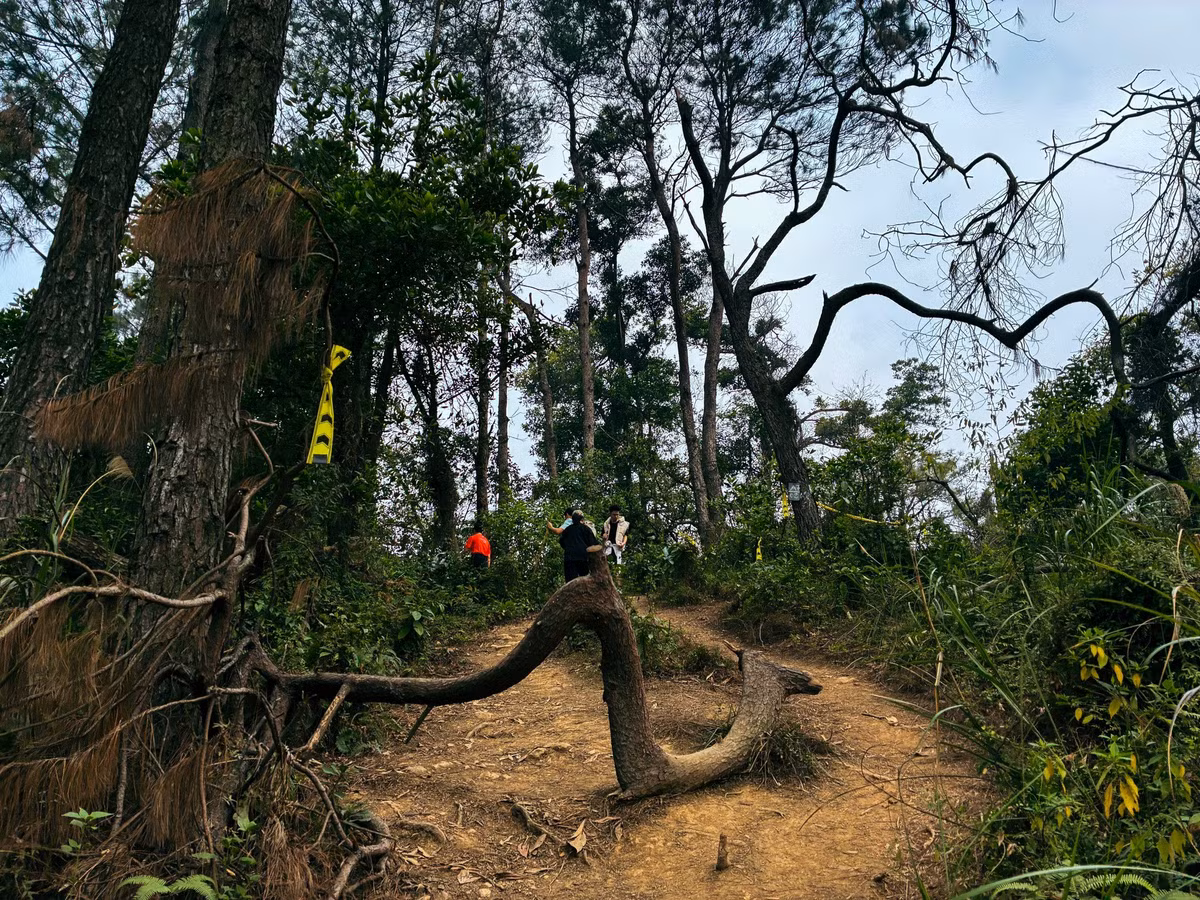 Chặng đường trekking từ chân núi lên tới đỉnh kéo dài khoảng 2–3 tiếng, tùy thể lực và cung đường bạn chọn. Có hai cung đường phổ biến: Cung dễ: đi theo đường mòn có sẵn, tương đối bằng phẳng, thích hợp cho người mới bắt đầu hoặc đi theo nhóm đông. xemptyzCung khó: đi xuyên rừng rậm, băng suối, vượt dốc đá – thích hợp với người ưa mạo hiểm, muốn thử thách bản thân. Ảnh Ngọc Dũng
