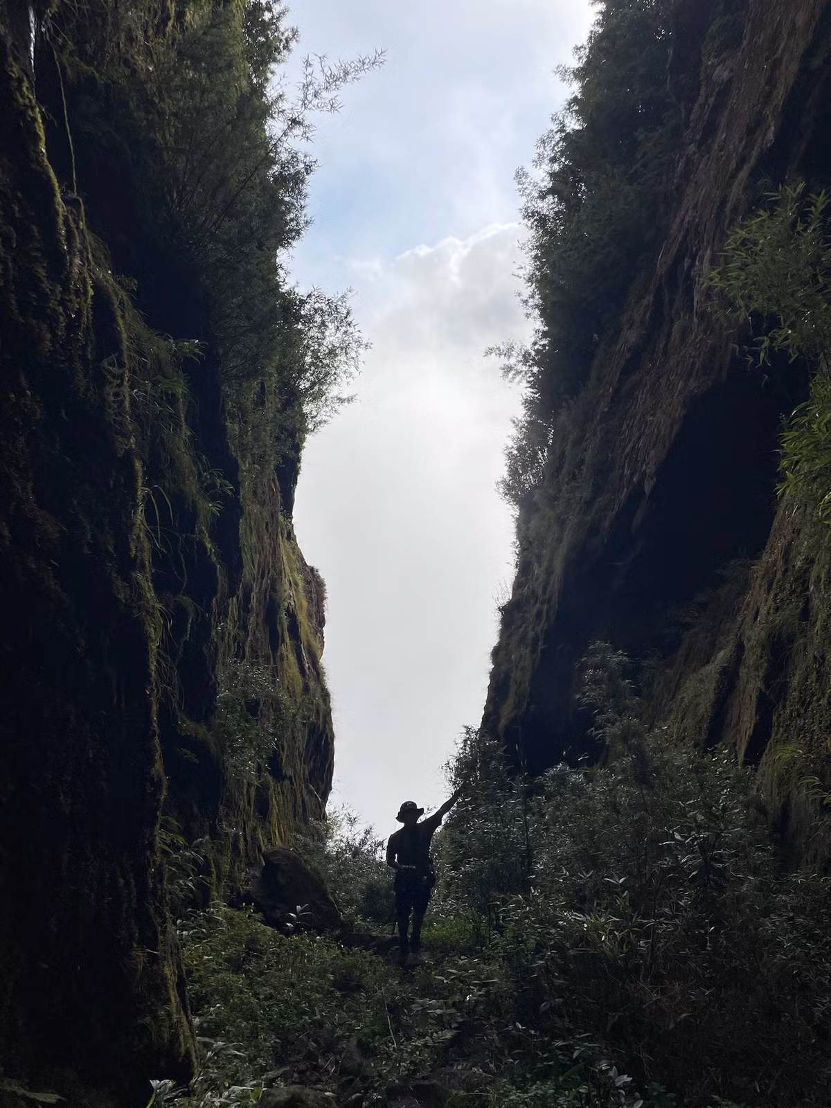 Theo những người dẫn tour giàu kinh nghiệm, săn mây trên Ngũ Chỉ Sơn không chỉ dựa vào dự báo thời tiết mà còn phụ thuộc vào “vận may” của mỗi người. Có những ngày mây kín lối, nhưng cũng có lúc cả biển mây mở ra ngay trước mắt, để lại khoảnh khắc khiến người ta chỉ muốn lặng im ngắm nhìn. Ảnh
