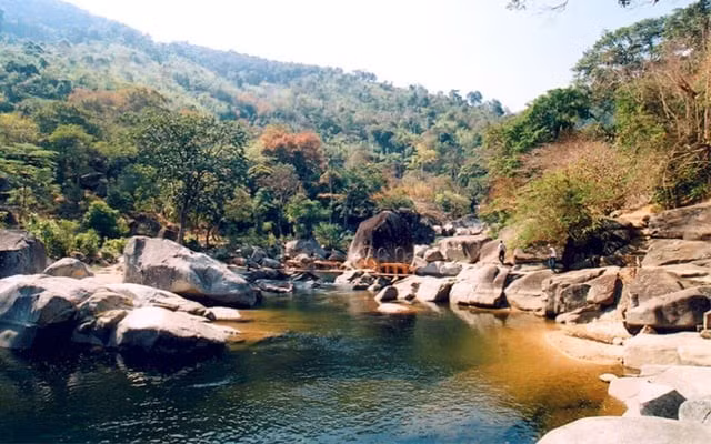 Là khu bảo tồn thiên nhiên lớn nhất Việt Nam, Yok Đôn mang đến cơ hội trekking, đi xe đạp xuyên rừng hay cắm trại giữa thiên nhiên hoang dã. Ảnh Vườn quốc gia Yok Don