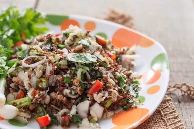 Người Thái trộn chúng cùng rau thơm, ớt, nước cốt chanh và thính gạo để tạo nên hương vị vừa cay, vừa giòn, vừa… rợn người. Một số du khách mô tả rằng cảm giác “trứng vỡ trong miệng” khiến họ phải nhắm mắt để nuốt, trong khi những người can đảm lại xem đây là “món ngon đáng giá nhất vùng Đông Bắc Thái”. Ảnh Internet