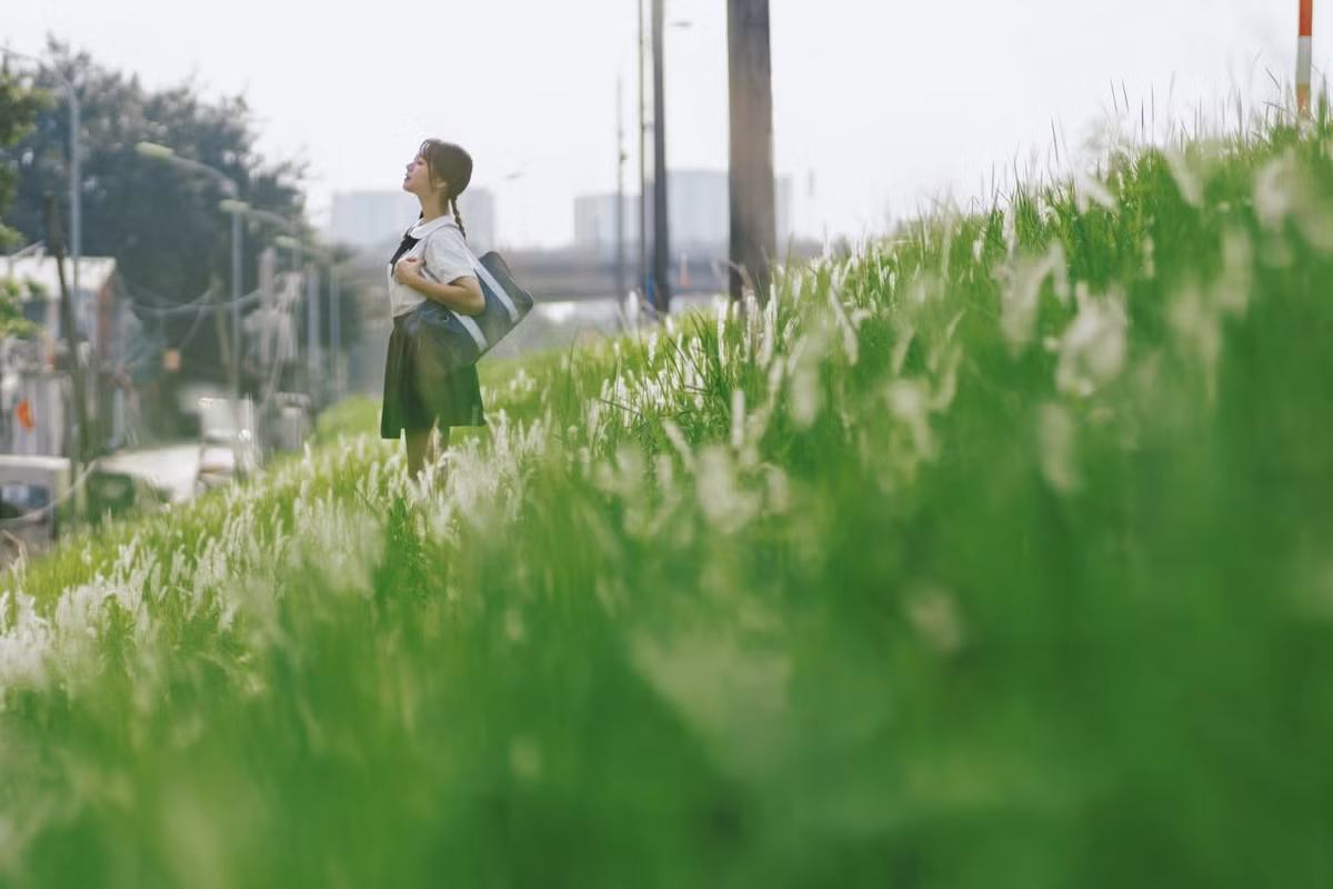 Nhiều du khách nhận xét khung cảnh tại đây gợi nhớ những làng quê Nhật Bản, với triền cỏ xanh, bầu trời trong, những bậc thang và trụ đèn đứng im lìm. Ảnh Nguyen Hoang Quyen