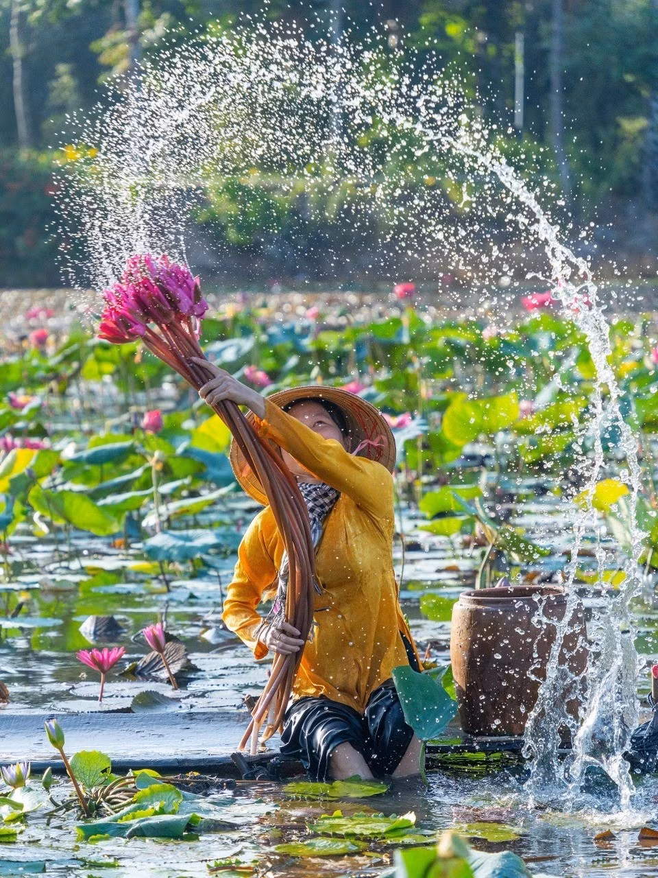 Đến Tây Ninh mùa này, du khách có thể thuê xuồng nhỏ để dạo chơi giữa rừng tràm xanh mướt, len lỏi qua những đầm súng đang độ nở rộ. Cảm giác trôi giữa không gian mênh mang, chỉ có tiếng mái chèo khua nhẹ và tiếng chim gọi nhau vang vọng khiến tâm hồn bỗng nhẹ nhõm lạ thường. Ảnh Nguyễn Khánh Vũ Khoa