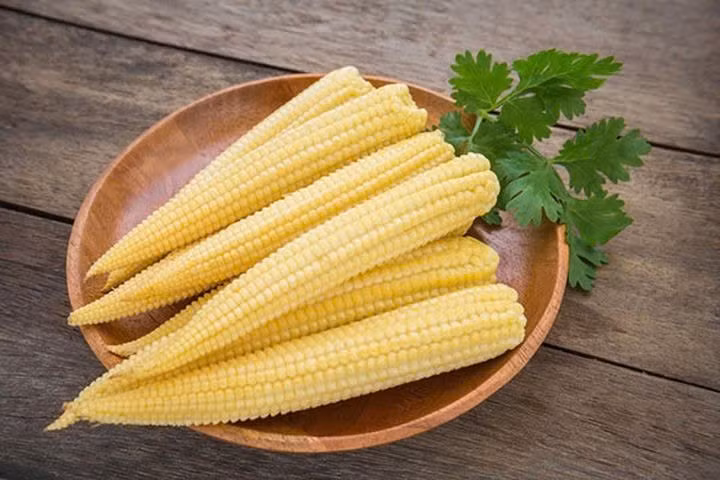 Các khoáng chất như kali, sắt, magie, phốt pho và hợp chất chống oxy hóa như flavonoid, phenolic cũng góp phần nâng cao giá trị dinh dưỡng, giúp cơ thể tăng cường sức khỏe và phòng ngừa nhiều bệnh lý. Ảnh minh hoạ