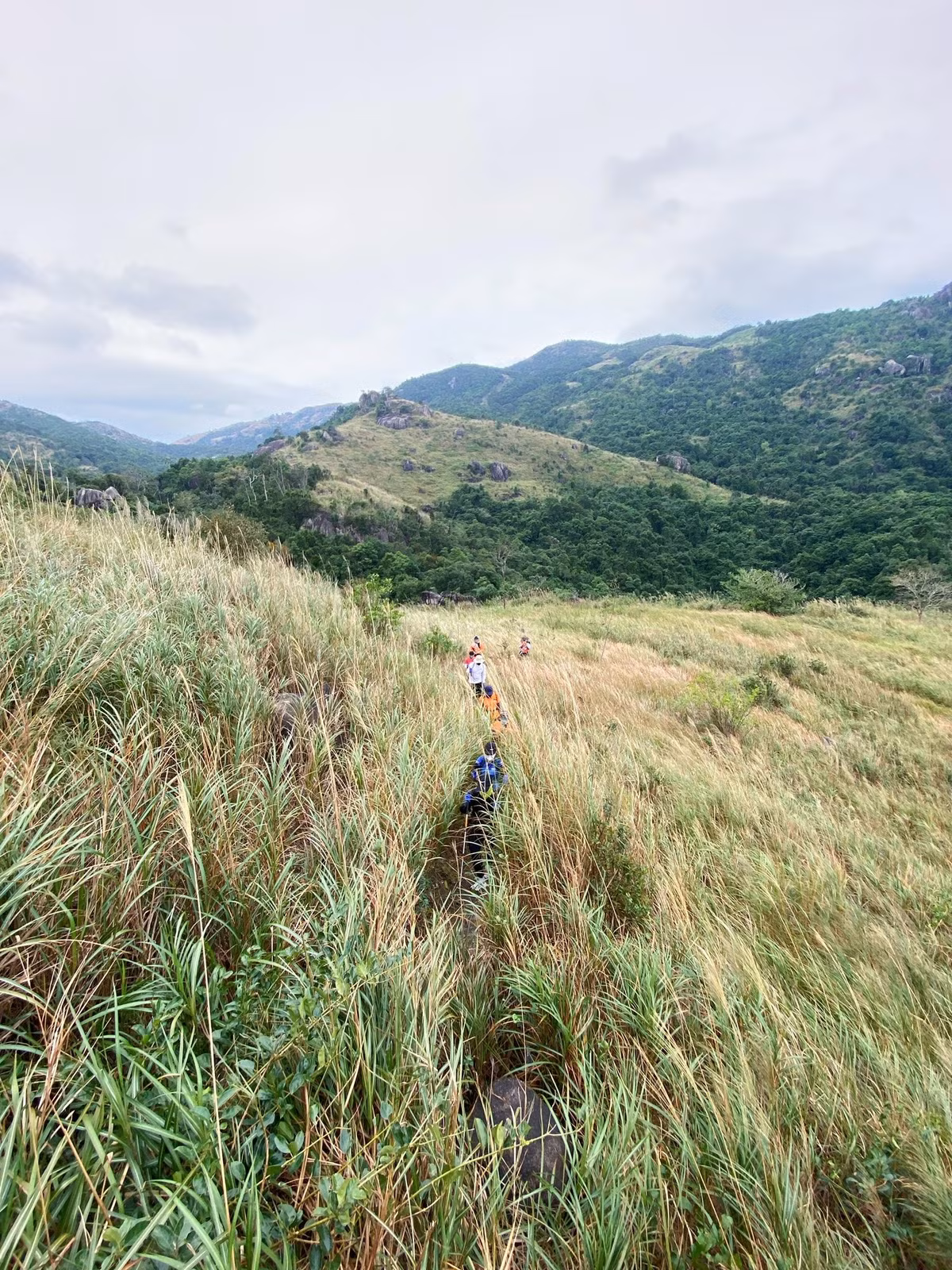 Hoàng Ngưu Sơn tọa lạc ở xã Phước Đồng, cách trung tâm thành phố Nha Trang khoảng 20km. Ngọn núi thuộc dãy Cô Tiên, trải dài theo hướng Bắc Nam. Đây là một trong những tọa độ vẫn còn rất hoang sơ, chưa nhiều dấu chân du lịch thương mại chạm đến. Ảnh Tố Như