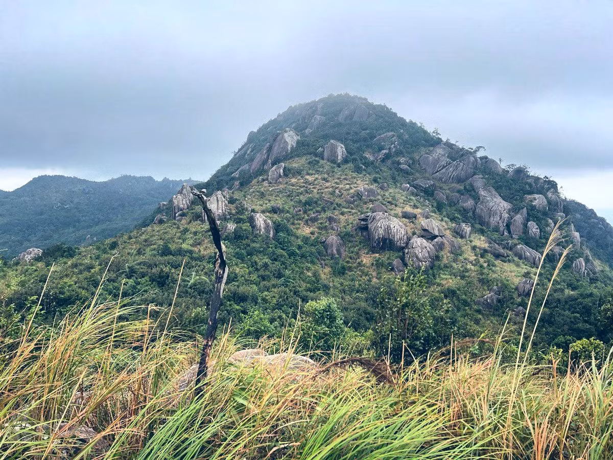 “Tôi từng trekking nhiều nơi, nhưng hiếm chỗ nào như Hoàng Ngưu Sơn: vừa gần biển, vừa có rừng nguyên sinh, lại đủ thử thách để mỗi bước chân đều đáng nhớ", chị Tố Như (du khách từ TP HCM) chia sẻ. Ảnh Tố Như