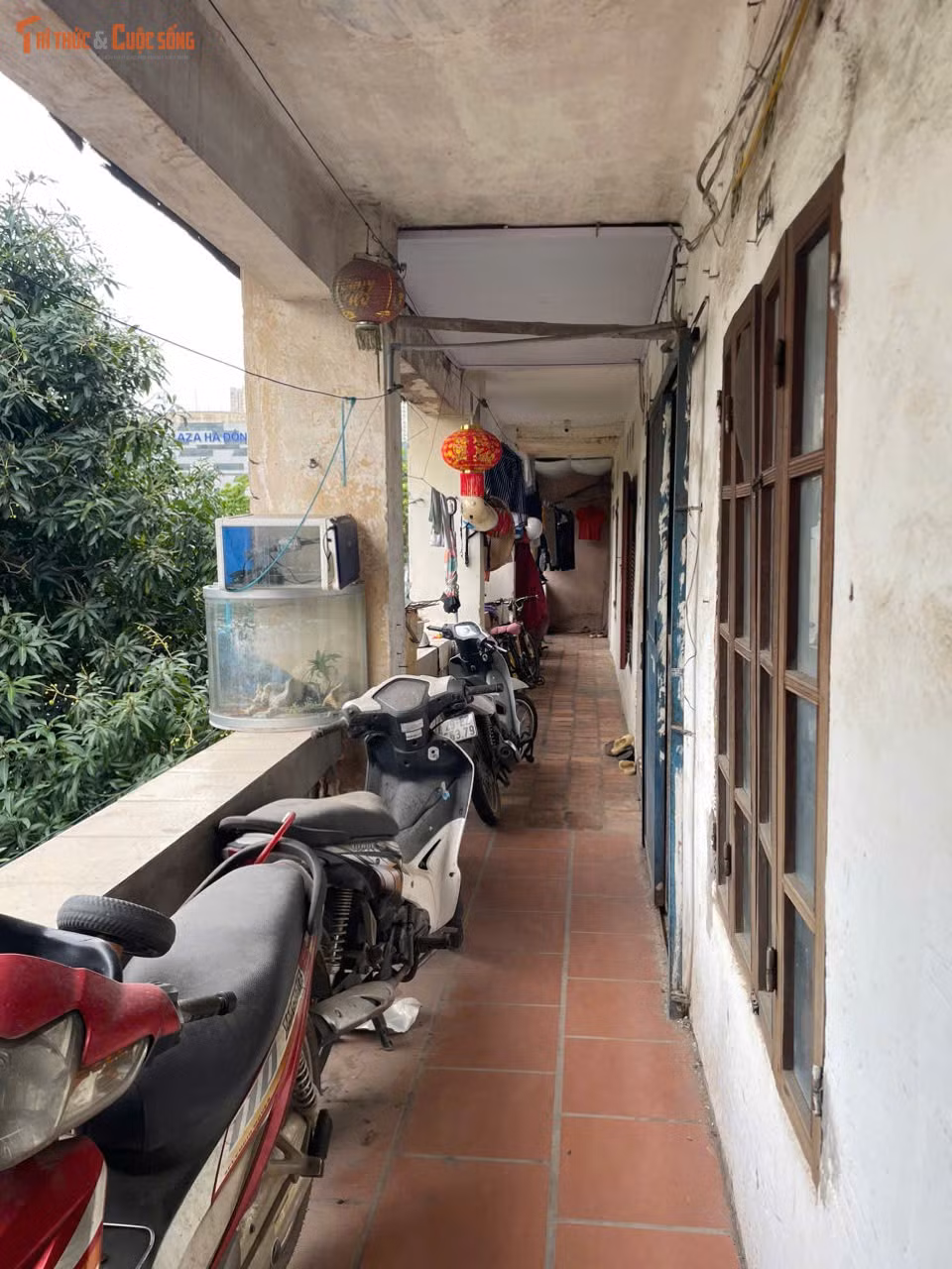 Các dãy nhà phủ màu thời gian với lớp sơn bong tróc, tường ẩm mốc, nhiều vị trí nứt vỡ kéo dài.