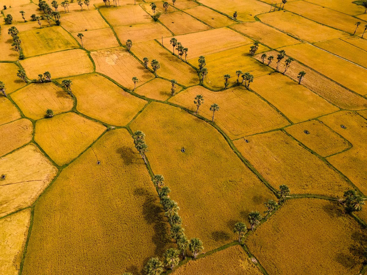 Nhiều du khách cho biết họ thích ghé vào những quán nhỏ bên đường để trò chuyện, nghe bà con kể về mùa vụ, lễ hội và cuộc sống thường nhật ở vùng Bảy Núi.