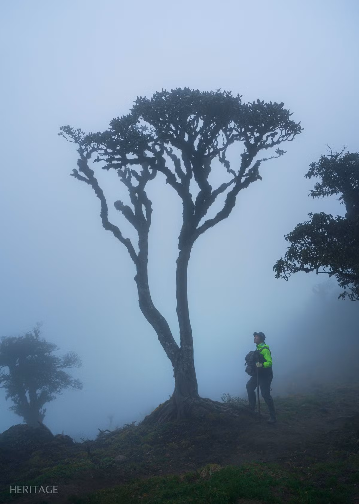 Để có chuyến trekking an toàn và trọn vẹn, du khách cần chuẩn bị kỹ lưỡng về thể lực và trang bị cá nhân. Các chuyên gia khuyến nghị nên tập luyện đều đặn trước chuyến đi, ăn uống đầy đủ chất bổ dưỡng, ngủ đủ giấc. Ảnh Vinh DAV
