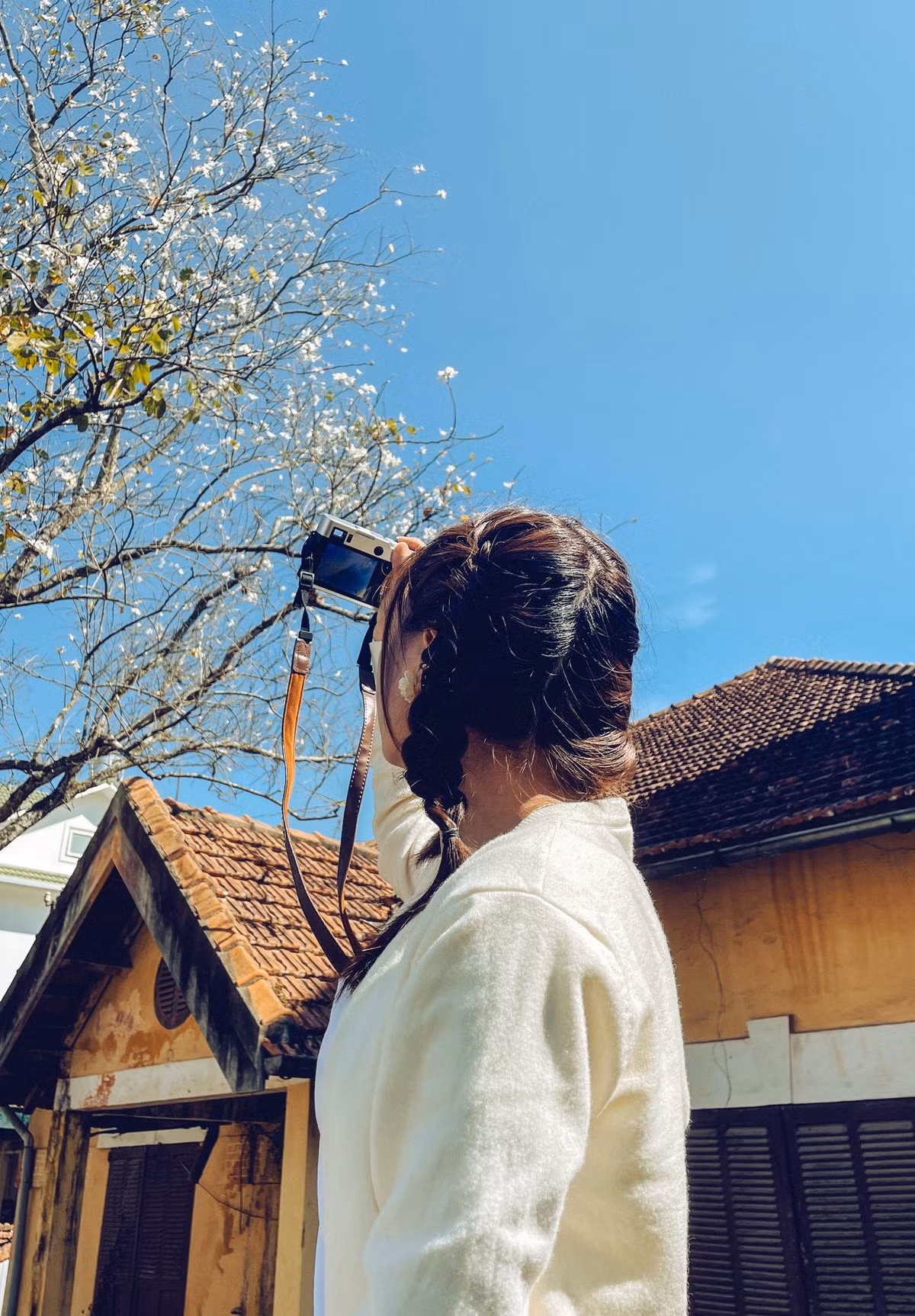 Tại Đà Lạt, hoa ban nở từ đầu năm và kéo dài đến khoảng cuối tháng 4. Tuy nhiên, thời điểm đẹp nhất là từ tháng 2 đến tháng 3 khi thời tiết mát lành, nắng vừa đủ và không khí xuân vẫn còn đọng lại trên từng con dốc. Ảnh Thu Thảo