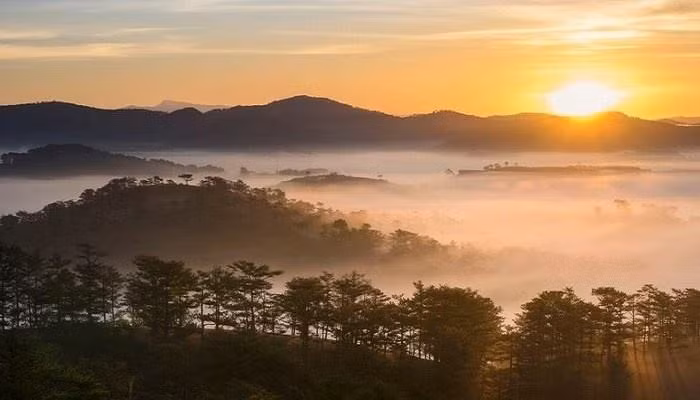 Sự đối lập giữa ánh sáng và bóng tối khiến nơi này trở thành địa điểm săn ảnh lý tưởng, đặc biệt cho những ai yêu thích khung cảnh kịch tính và giàu cảm xúc. Ảnh TicoTravel