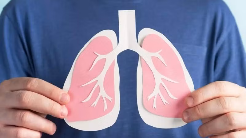 Bằng cách kết hợp chế độ dinh dưỡng thông minh với các biện pháp phòng ngừa, mỗi người đều có thể giảm thiểu tác hại của ô nhiễm, bảo vệ lá phổi và nâng cao sức khỏe trong mùa không khí kém sạch. Ảnh minh họa