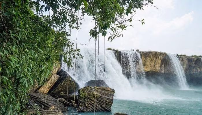 Thác Trinh Nữ gây ấn tượng bởi vẻ đẹp nguyên sơ và quyến rũ. Nước đổ qua những khối đá bazan đen, tạo thành chuỗi bọt trắng xóa giữa rừng già. Buổi sáng sớm, lớp sương mỏng phủ trên mặt suối khiến nơi đây trở nên huyền ảo. Ảnh 123tadi