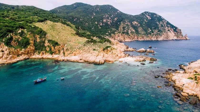 vinh-hy.jpg