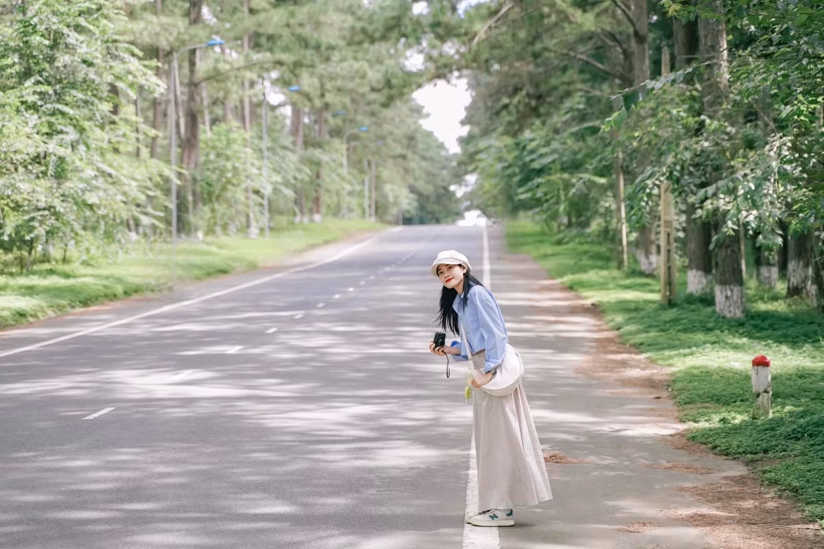 Với những ai yêu khám phá, Tây Nguyên là điểm dừng chân đáng nhớ. Cà phê đang vào mùa chín đỏ, mang đến khung cảnh rộn ràng trên khắp Buôn Ma Thuột, Gia Lai hay Kon Tum. Du khách có thể tham quan Bảo tàng Thế giới Cà phê, dự lễ hội cồng chiêng, hoặc trekking rừng thông Măng Đen – nơi được ví như “Đà Lạt thứ hai” của vùng đất bazan. Ảnh Chuyến đi của Tali