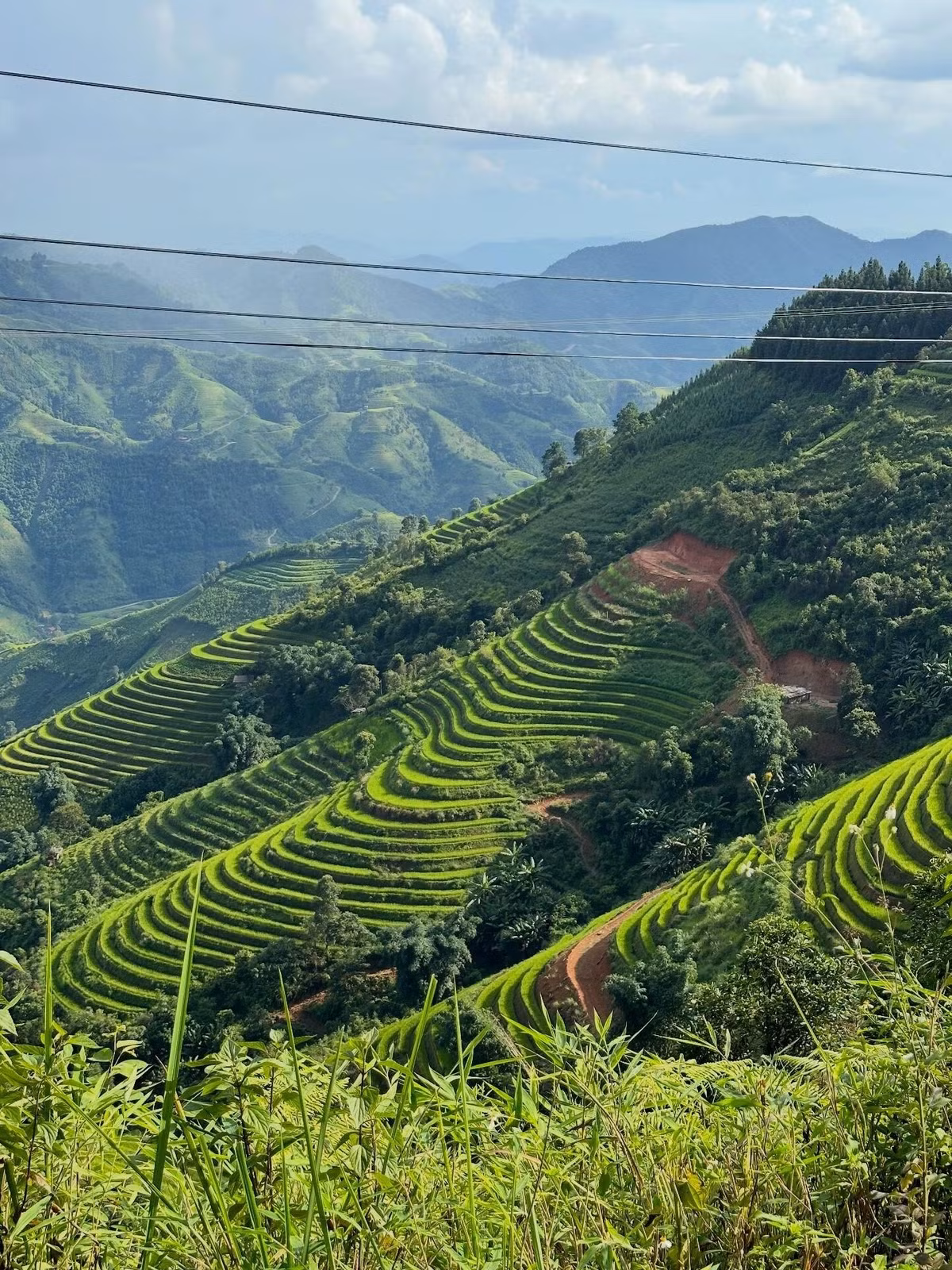 Mỗi mùa đến với Bản Liền là một trải nghiệm riêng: mùa xuân trắng hoa mận, mùa hè rực rỡ đồi chè, mùa thu vàng óng lúa chín, mùa đông sương mù giăng lối. Ảnh im.tthuu