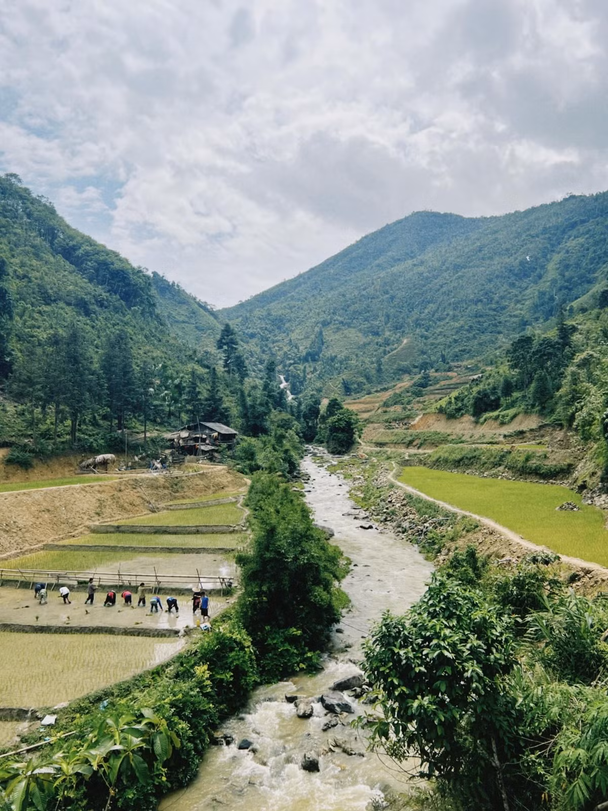 Ngày đầu tiên, tham quan làng, hái chè cùng người dân, tối thưởng thức cơm truyền thống và giao lưu văn nghệ. Ngày hôm sau, trekking đồi chè, xuyên rừng nguyên sinh với hướng dẫn viên bản địa, mua chè Shan Tuyết và sản phẩm thủ công trước khi quay về. Ảnh dophuc.2710