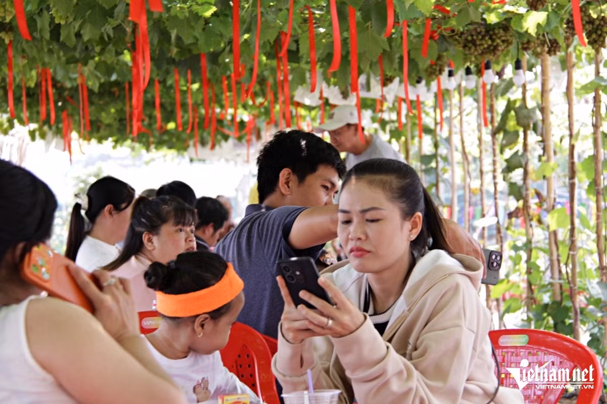 Đây cũng là lý do quán luôn chật kín khách vào cuối tuần, đặc biệt là giới trẻ thích không gian “lên hình đẹp ngay cả khi chưa chỉnh màu”. Ảnh Báo Vietnamnet