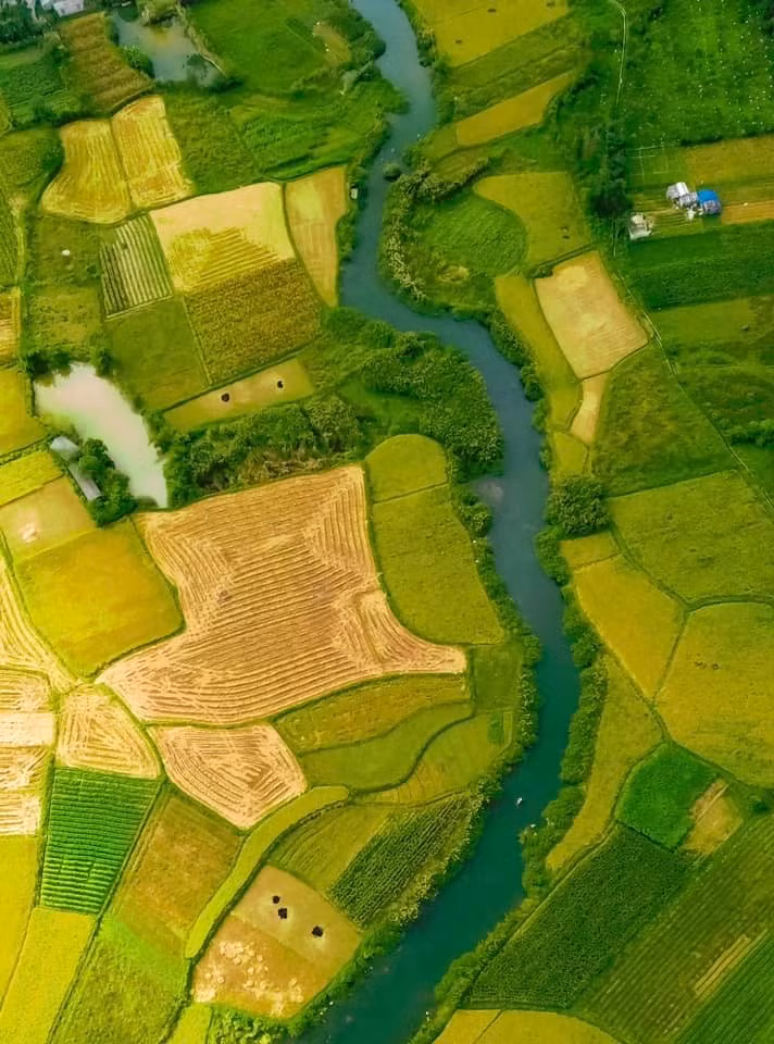 Từ đây, du khách có thể phóng tầm mắt thu trọn thung lũng Bắc Sơn vào trong khung hình: những cánh đồng lúa xếp lớp như bàn cờ, dòng sông uốn lượn mềm mại, bao quanh bởi dãy núi đá vôi trùng điệp. Ảnh Nguyễn Trọng Cung