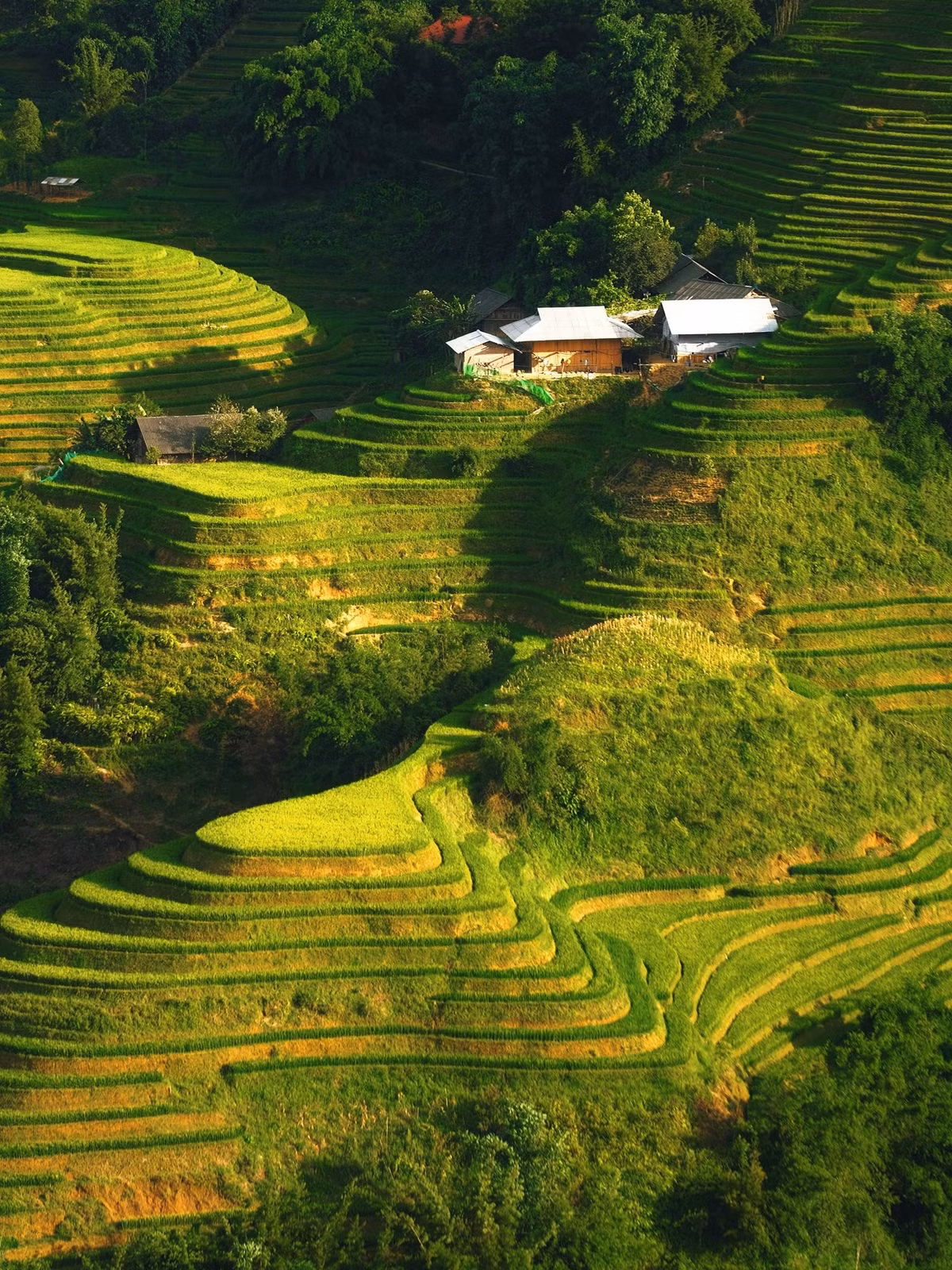 Không ồn ào như trung tâm Sa Pa, Ý Linh Hồ mang vẻ đẹp nguyên sơ, thanh bình, thích hợp cho những ai muốn tìm một chốn tạm rời xa phố thị, hòa mình vào thiên nhiên và nhịp sống chậm rãi của miền sơn cước. Ảnh Tuyên Parafu