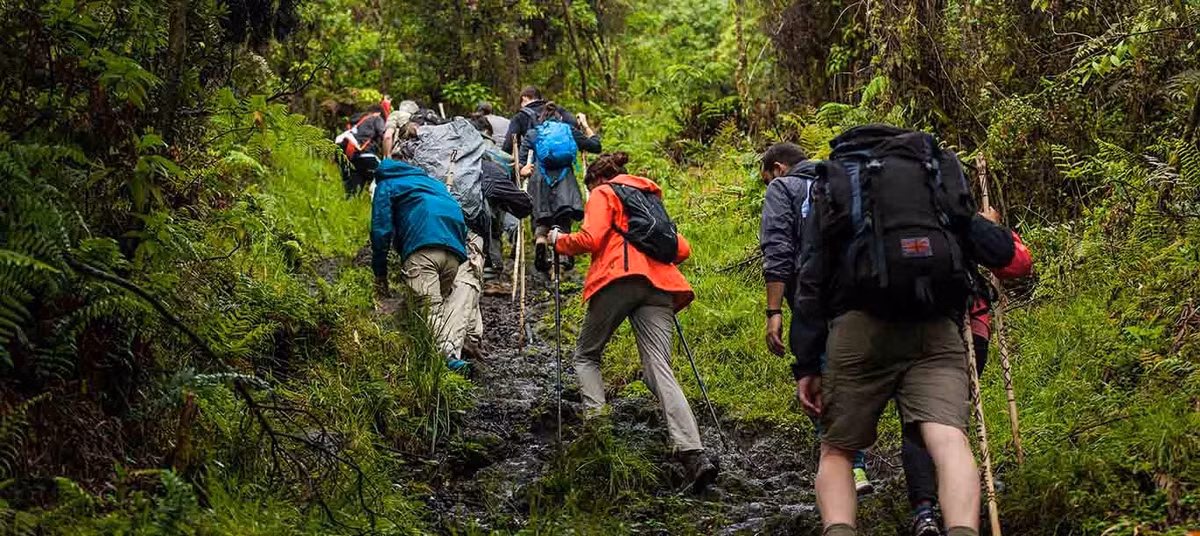 trekking.jpg
