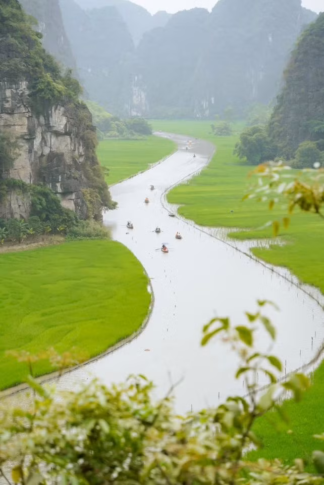Đây là lúc cánh đồng lúa hai bên dòng Ngô Đồng mướt mát một màu xanh ngọc, tạo nên khung cảnh yên bình khiến du khách không khỏi trầm trồ. Ảnh Phương Tali