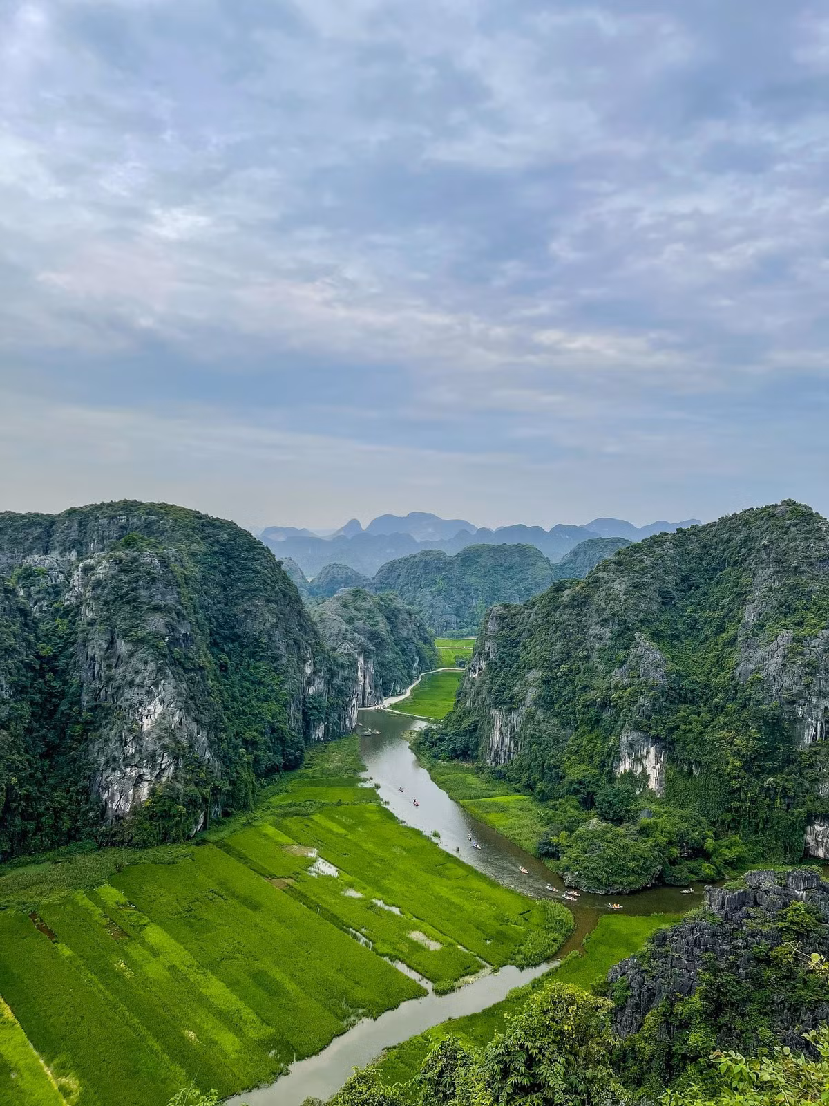 Đến Ninh Bình mùa này, du khách sẽ được chiêm ngưỡng những thửa ruộng trải dài bất tận, uốn lượn theo chân núi, len lỏi dưới những dãy đá vôi kỳ vĩ. Ảnh Minh Khang