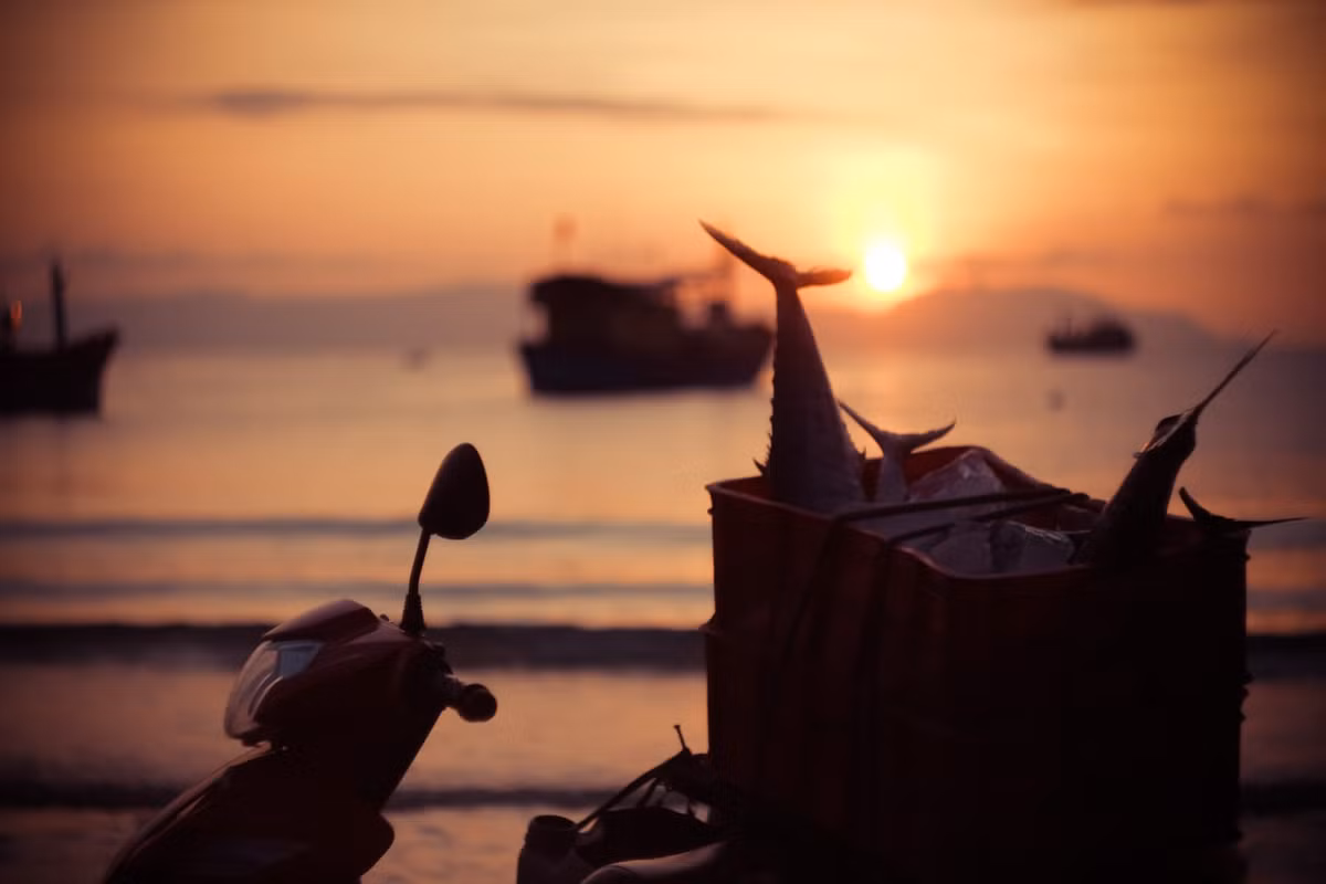 Mỗi sáng sớm, tiếng sóng vỗ đều đều hòa cùng tiếng nói cười, tiếng gọi nhau trên thuyền nhỏ tạo nên bản hòa ca đặc trưng của biển khơi. Ảnh Thư Biện