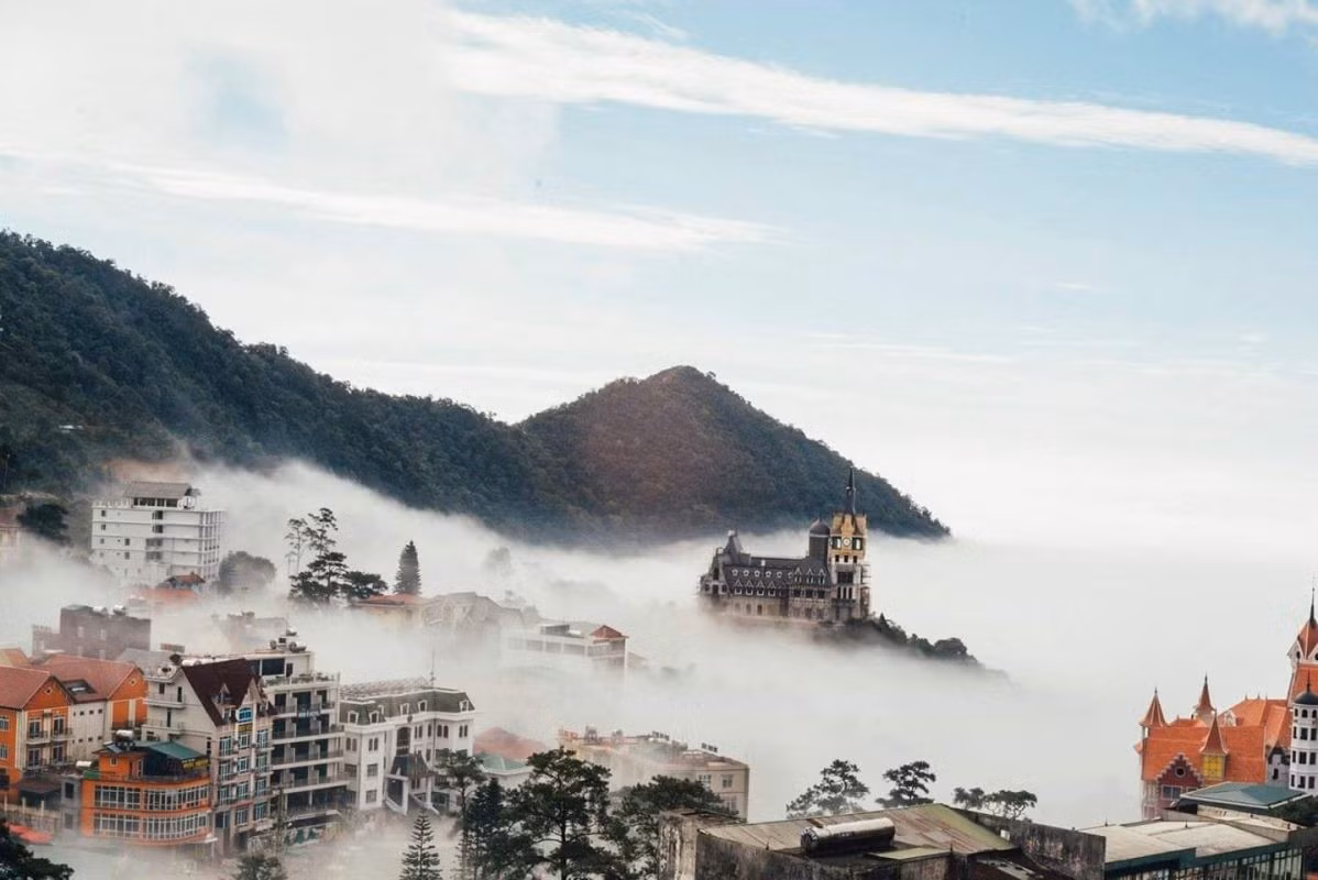 Cách thủ đô chừng 80 km, Tam Đảo (Vĩnh Phúc) hấp dẫn du khách nhờ khí hậu mát mẻ và sương mù đặc trưng. Dù đường lên khá dốc, nhưng cảnh sắc hữu tình, không khí se lạnh và những góc quán cà phê trên cao giúp nơi đây trở thành một trong những điểm chill “có gu” bậc nhất miền Bắc. Ảnh Cardo