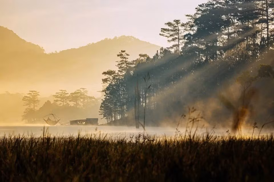 Với không gian rộng lớn và mặt nước phẳng lặng, Hồ Tuyền Lâm là nơi lý tưởng để bắt đầu ngày mới. Ánh nắng sớm xuyên qua những tán thông, tạo ra các vệt sáng lấp lánh trên mặt hồ. Ảnh Bùi Huy Tưởng