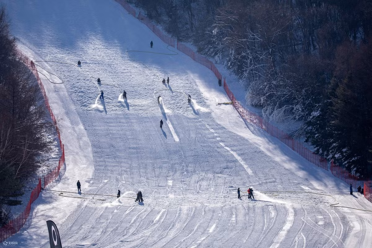 Cách Seoul khoảng 2 giờ đi xe, Yongpyong Resort được biết đến như “Thiên đường tuyết” với hơn 28 đường trượt từ dễ đến khó. Khu trượt tuyết lớn nhất Hàn Quốc từng tổ chức Thế vận hội mùa đông Pyeongchang 2018, vì vậy chất lượng dịch vụ và đường trượt được đảm bảo. Không chỉ trượt tuyết, du khách còn có thể thưởng ngoạn rừng thông phủ tuyết tuyệt đẹp, tận hưởng không khí mùa đông đúng chuẩn Hàn Quốc. Ảnh Klook