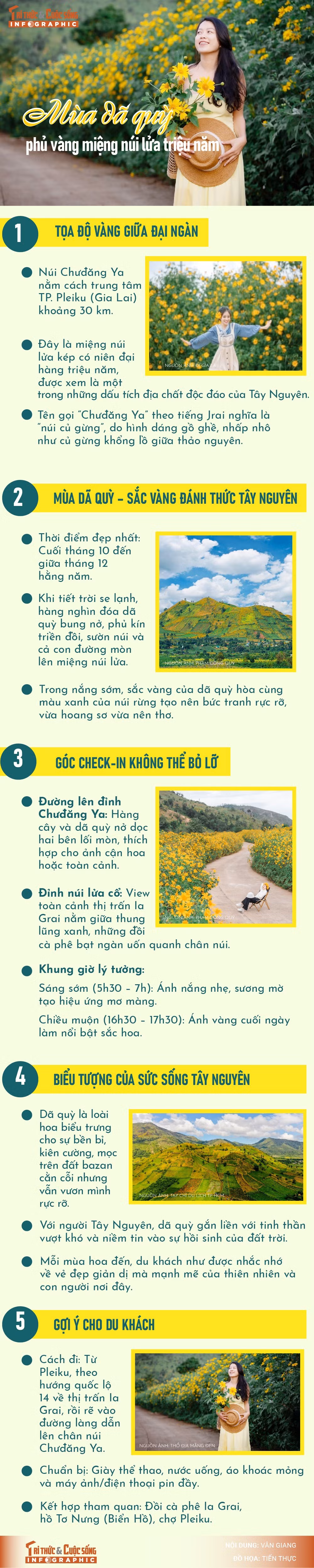 info-mua-daquy-01.jpg