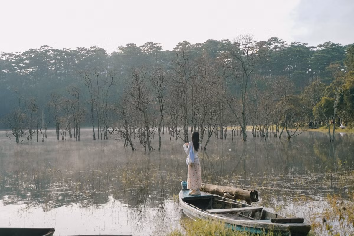 Từ trung tâm Đà Lạt, du khách di chuyển khoảng 15km để đến Suối Tía. Tuy nhiên, khu vực này chưa có biển chỉ dẫn cụ thể, việc di chuyển theo Google Maps khá khó khăn. Du khách nên tham khảo các clip chỉ đường hoặc hỏi người dân địa phương. Tuyến đường đủ rộng cho xe gầm cao hoặc bán tải, song cần cẩn trọng khi di chuyển. Ảnh Phương Tali