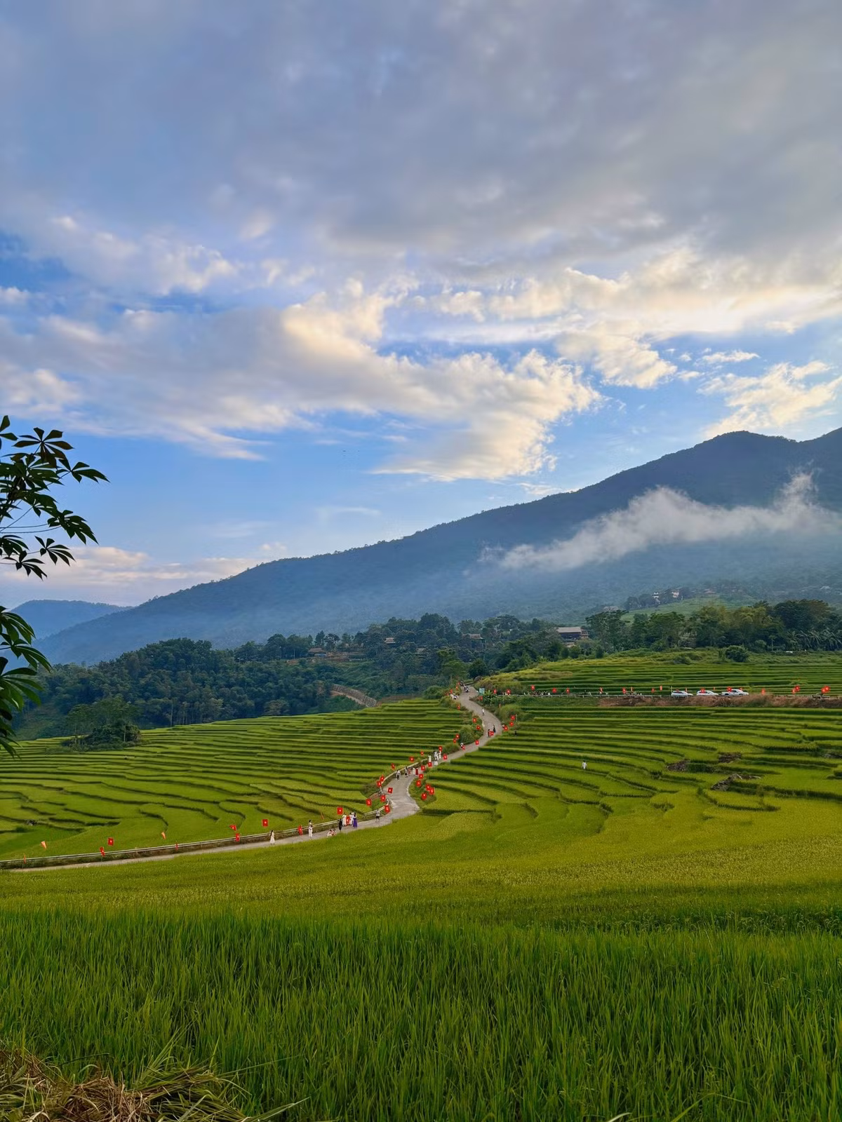 Pù Luông vốn nổi tiếng là “xứ sở ruộng bậc thang” của Thanh Hóa, nằm ở độ cao trung bình 1.700m, được bao quanh bởi rừng nguyên sinh và những thung lũng mờ sương. Ảnh dulichpuluong