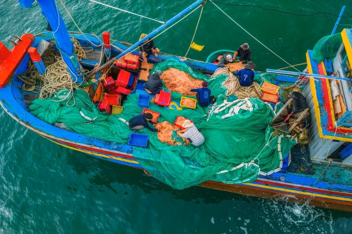 Mỗi sáng sớm, những chiếc thuyền thúng cập bến mang theo cá, mực, ghẹ tươi rói. Du khách có thể ra chợ làng, chọn mua hải sản vừa được đánh bắt với giá phải chăng, hoặc ghé những quán nhỏ ven biển để thưởng thức món ăn chế biến tại chỗ. Ảnh Quan Nguyễn