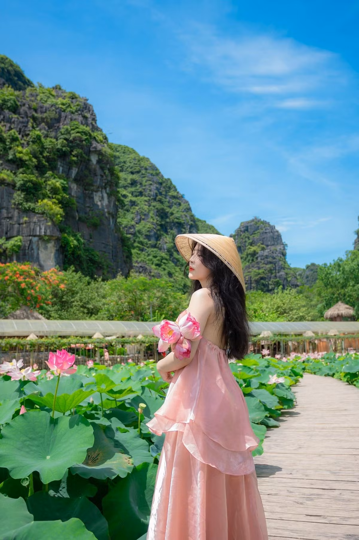 Khi du lịch mùa sen ở Hang Múa, du khách nên lưu ý thời điểm sen nở đẹp nhất là từ 5h30 – 9h00 sáng hoặc sau 16h00 chiều. Vé vào khu du lịch khoảng 100.000 đồng/người. Ảnh An Phạm